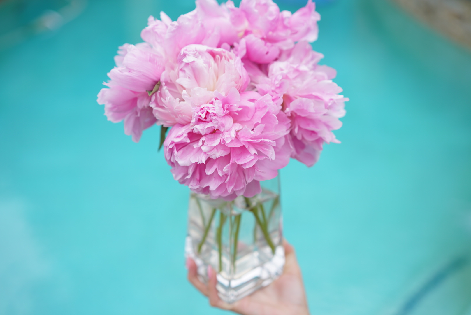 What to Buy at Trader Joe's Angela Lanter Hello Gorgeous