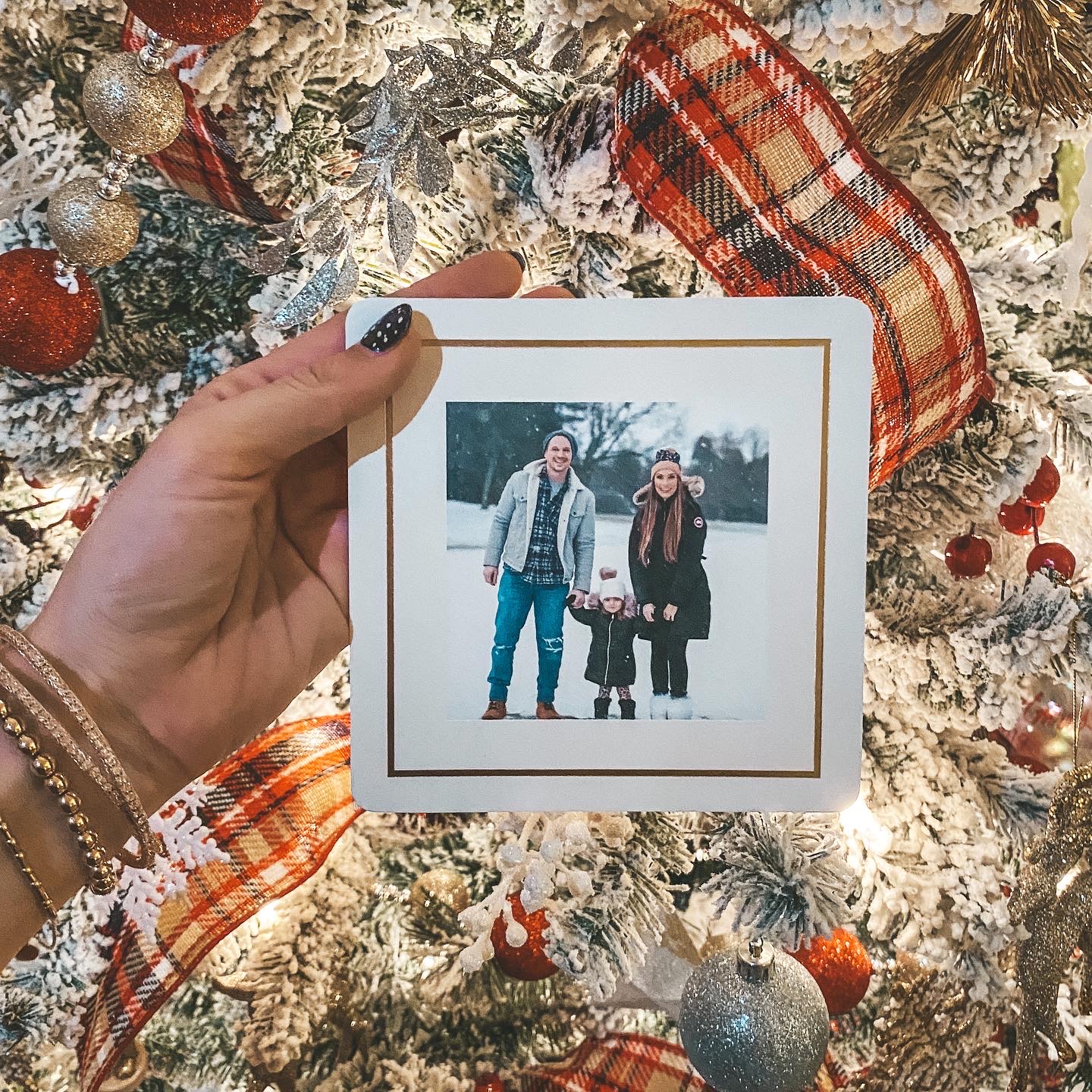 My 2019 Christmas Card