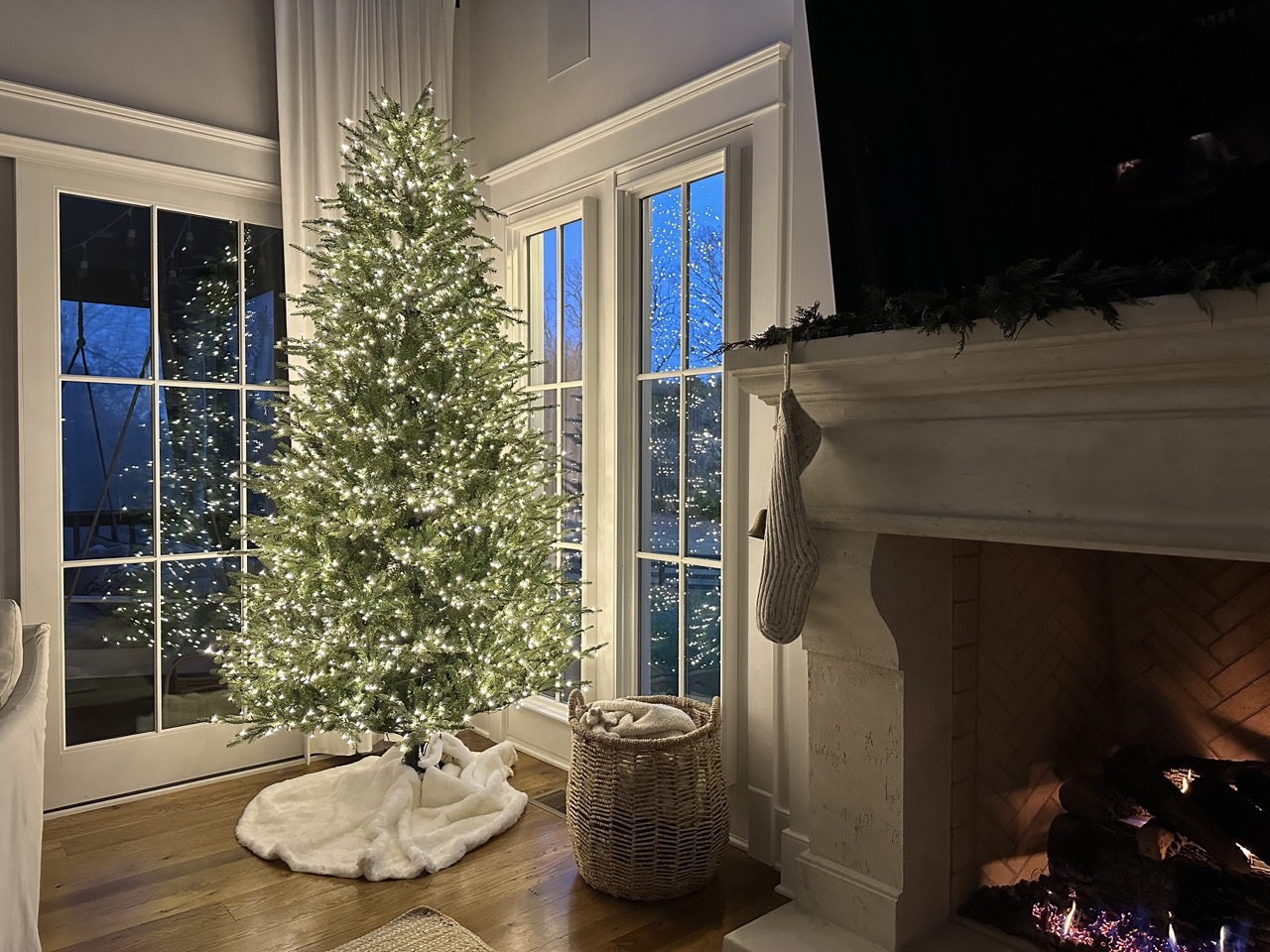7.5 ft grand duchess balsam fir christmas tree