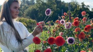 Amish Country visit to Keim Lumber by lifestyle blogger Angela Lanter